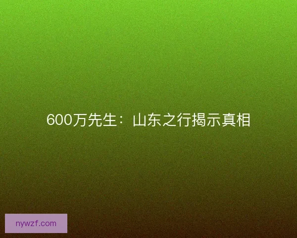 600万先生：山东之行揭示真相