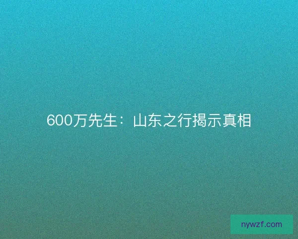 600万先生：山东之行揭示真相