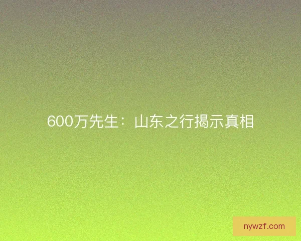 600万先生:山东之行揭示真相 600万先生:山东之行揭示真相