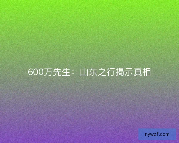 600万先生：山东之行揭示真相